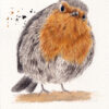 12. Pajaro scaled